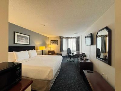 Ramada Plaza Airport and Conference Centre - 1
