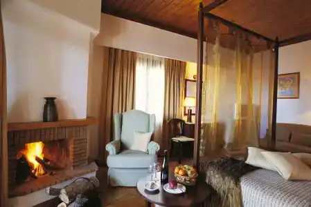 Domotel Anemolia Mountain Resort - 100