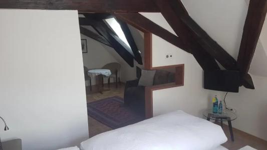 Hotel-Restaurant Goldenes Lamm - 75