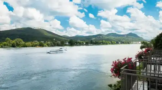 RheinDreesen - 136