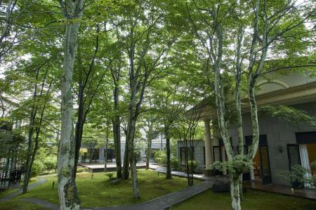 Kyukaruizawa Kikyo, Curio Collection by Hilton - 20