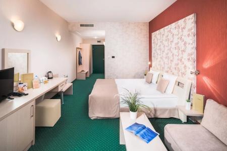 Park & Spa Markovo - 28