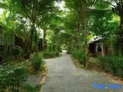 Phu Quoc Bambusa Resort - 125