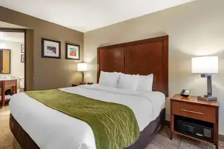 Comfort Inn & Suites Downtown - 46