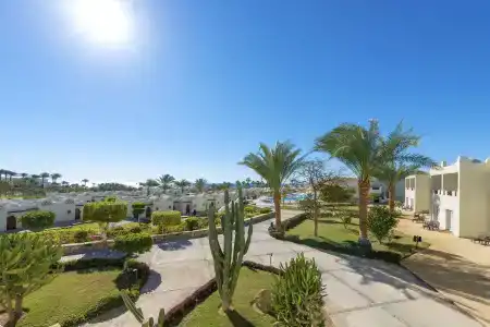 Reef Oasis Beach Resort - 19