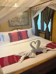 Viking Nature Resort - 17