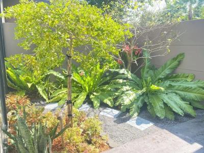 Triple Tree Beach Resort - 114