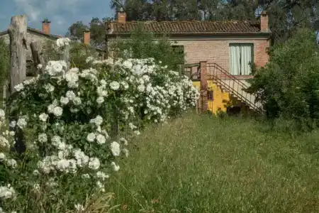 La Ghiaia - 31