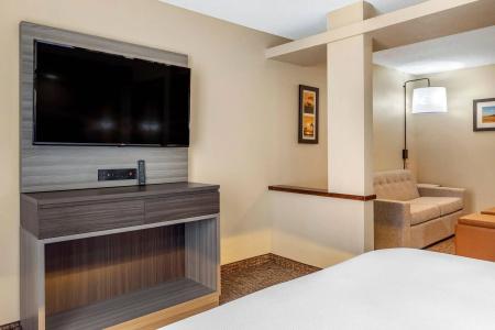 Comfort Inn & Suites North Dallas-Addison - 59