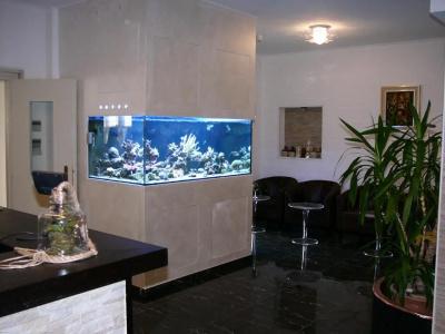 Lido - 11