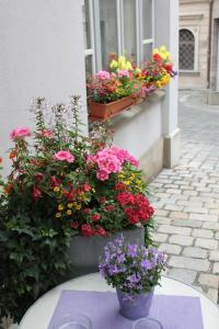 am Rathaus - 15
