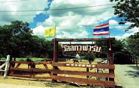 Wanlapa Farmstay - 44
