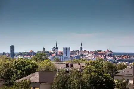 U11 - 15