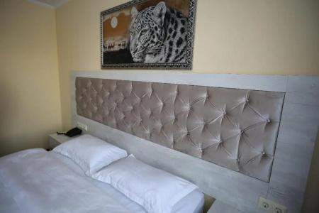 Altai Business - 63