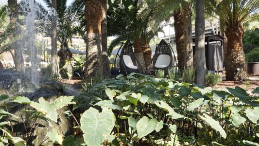 Parque Tropical - 17