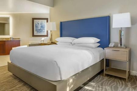 Hilton Grand Vacations Club SeaWorld Orlando - 43