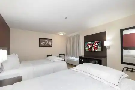 Red Roof Inn Plus+ – Southpoint - 47