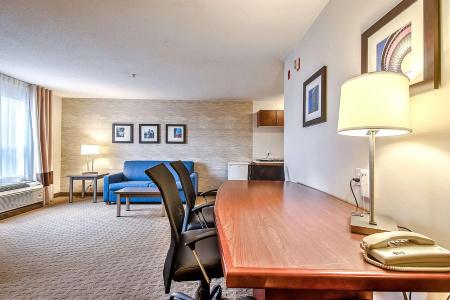 Comfort Inn & Suites South - 50