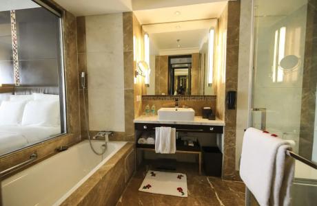 Jaipur Marriott - 5