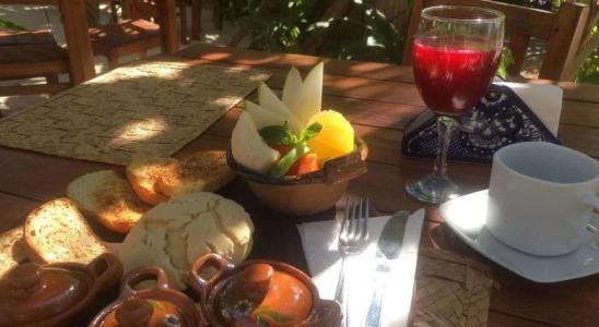 Dos Ceibas Eco Retreat Tulum - 12