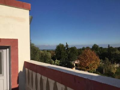 Masseria Montenapoleone - 87