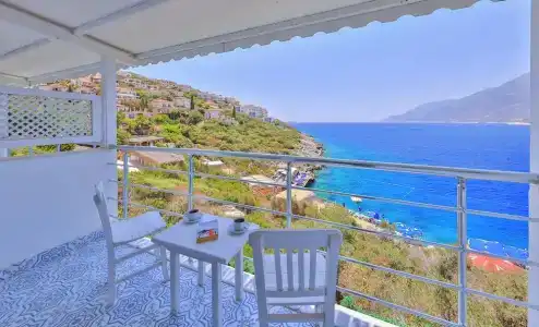 Arpia - 78