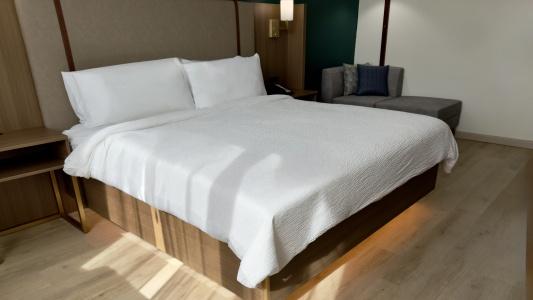Holiday Inn Houston s - Nrg Area - Med Ctr, An Ihg - 24