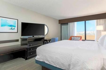 Hampton Inn - 78