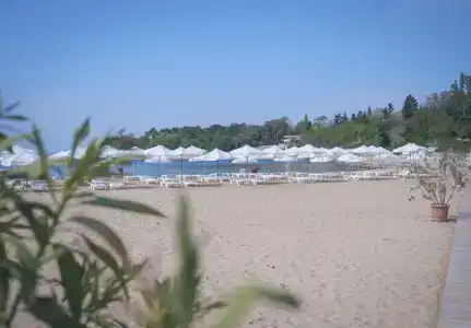 Dolphin All Inclusive - 26