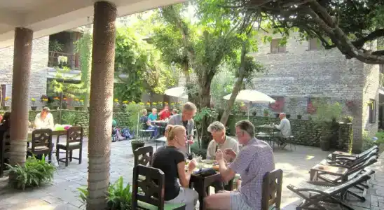 Mums Garden - 14
