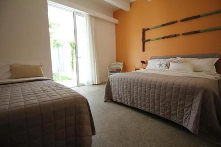 Intorno Al Fico - 82