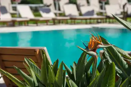 Bitzaro Grande & Suites - 16