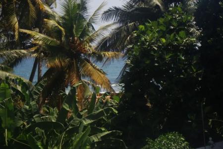Southern Comforts - Galle Fort - 48