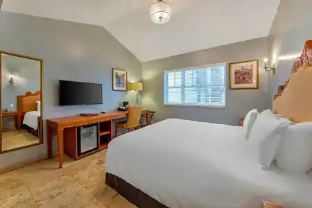 Impala - 28