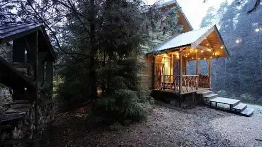 Семейное гнездо - 0