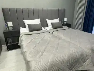 Platinum aparts - 1