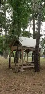 Villaggio Camping Bosco Selva - 57