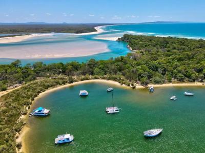 The Noosa - 79