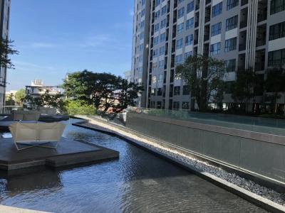 the base central - 16