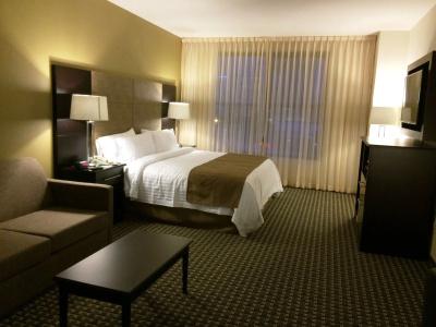 Holiday Inn Mexico Santa Fe, An Ihg - 5