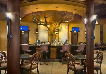 Desert Diamond Casino - 20