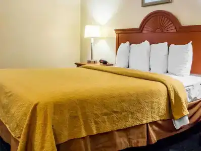 Quality Inn - Airport - 26