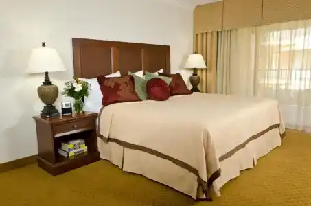 Coconut Cove All Suite - 25