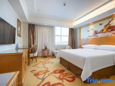 Vienna (Shenzhen Longgang Baifu City Store) - 27