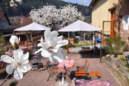 Gutshof-Waldknechtshof - 30