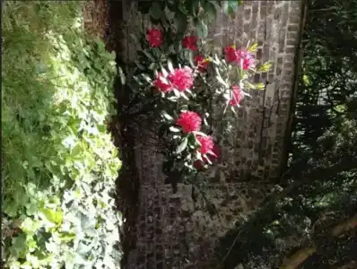 am Hofgarten - 13
