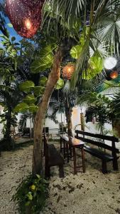Los Arcos Tulum - 16