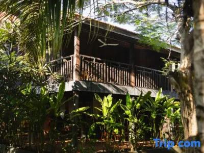Paradise Island - 140