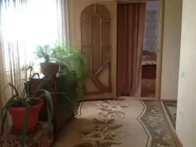 Георгина - 4