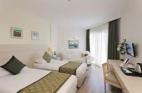 Febeach Side - 29